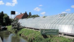 oude kas van Historische Druivenkwekerij Sonnehoeck is een van de eerste tuindersbedrijven van het Westland. Het is de enige kas die Rijksmonument is in Nederland