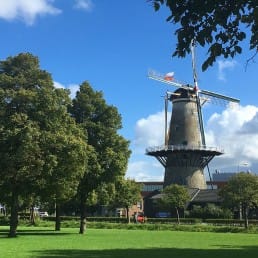 Hofpark in Wateringen in het Westland met een molen, gras en bomen