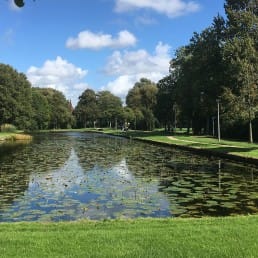 Park in Wateringen in het Westland met een groen grasveld en een grote vijver met bomen rechts en in de achtergrond op een zonnige dag