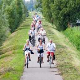 Grote groep 50 plussers die op een warme zomerse dag naast en achter elkaar fiets over een fietsroute met veel groen bomen in het Westland