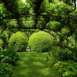 groen tuin met pergola en grote struiken en heggen in het Westland