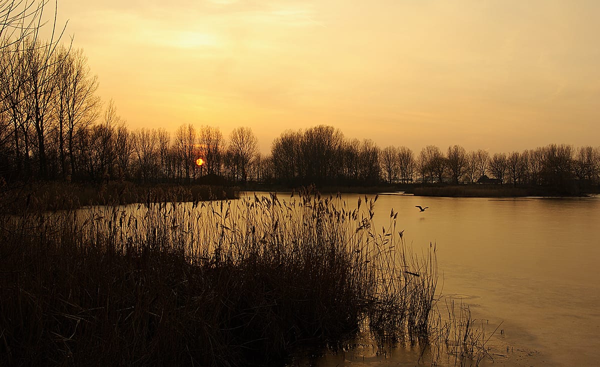 foto van een opkomende zon over het meer van recreatiegebied Het Prinsenbos in het Westland
