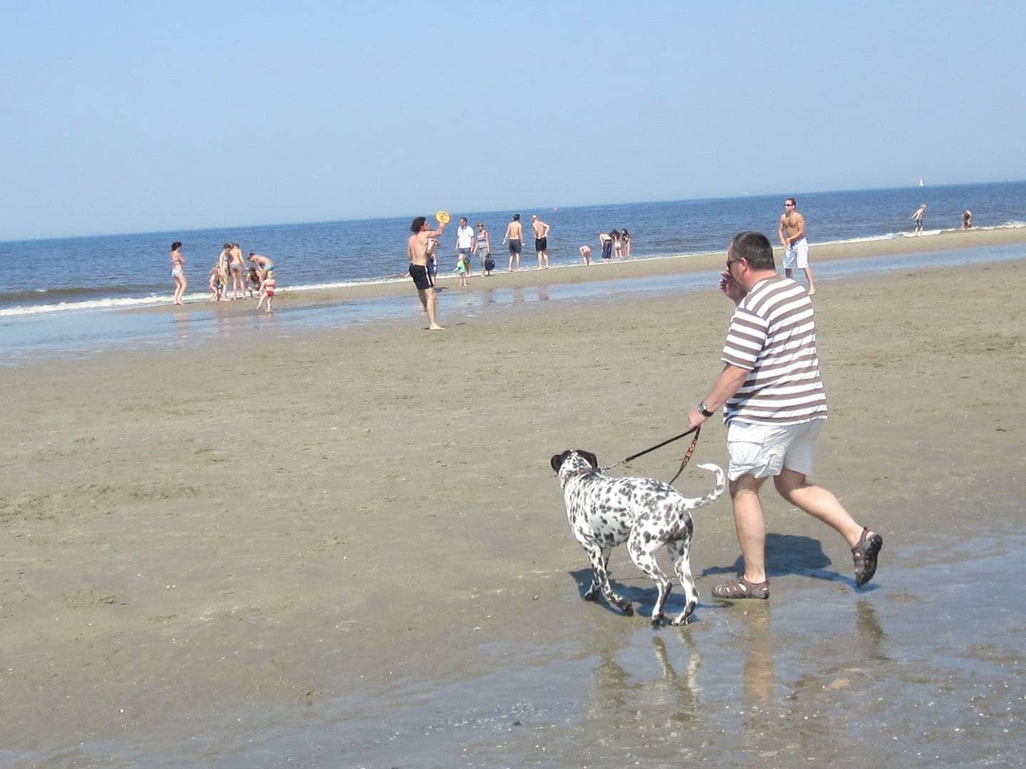 man met hond op het strand in het westland in de zomer