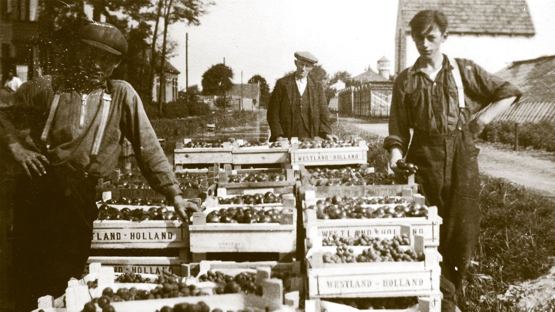 historische zwart-wit foto van tuinders die trots naast een kar staan vol met houten kisten met Westlandse tomaten in het Westland
