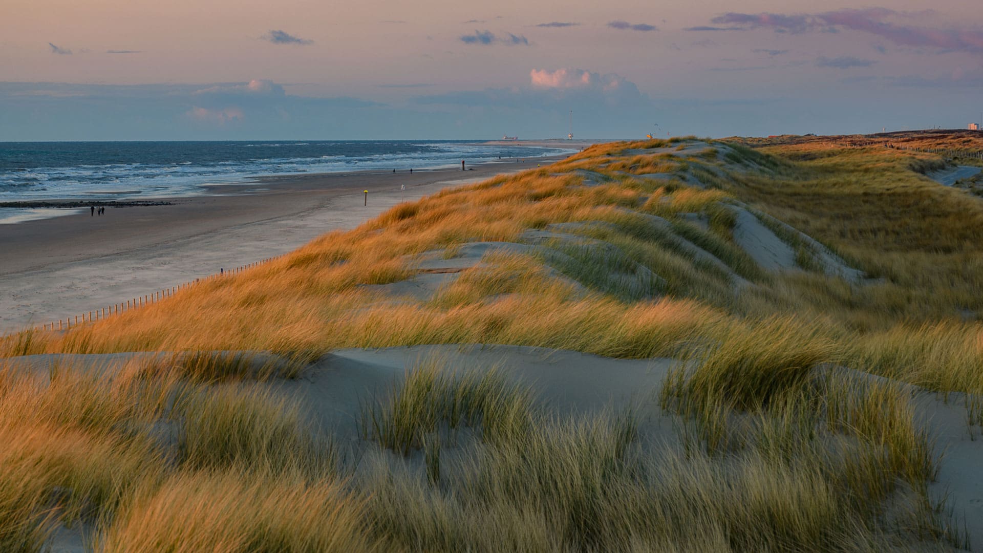 duinen bij strandopgang Arendsduin aan de kust in het Westland met de laatste avondzon die op de duinen schijnt
