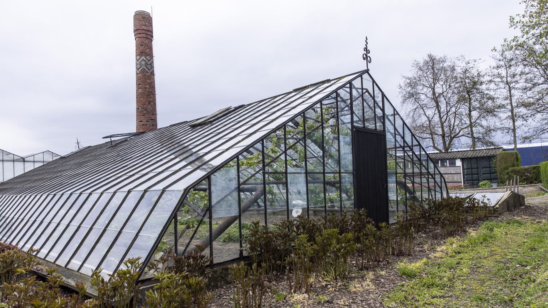 Westlands Museum kniekas geschiedenis van de kas tuinbouw