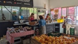 boergoed streekproducten streekproductenmarkt streekmarkt 4 juni 2022 Naaldwijk Westland groenten lokaal