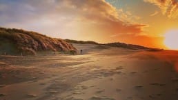 zonsondergang westlandse kust duinen