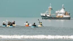 kayakken op zee WATO events groepsuitje