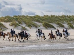 paarden ruiters op het strand in het westland
