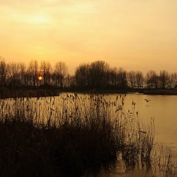 foto van een opkomende zon over het meer van recreatiegebied Het Prinsenbos in het Westland