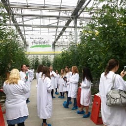bezoekers in witte doktersjassen lopen door de tomatenkas van Tomatoworld in het Westland
