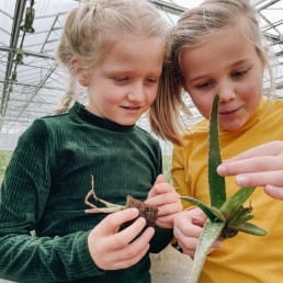 Kinderen excursie in de kas aloë vera plant