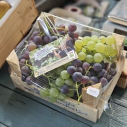 hilde en arnold openen druivenverkoop nieuw tuinzight westlandse druiven een kistje druiven