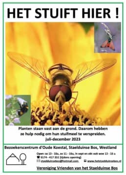 poster tentoonstelling bijen stuift hier